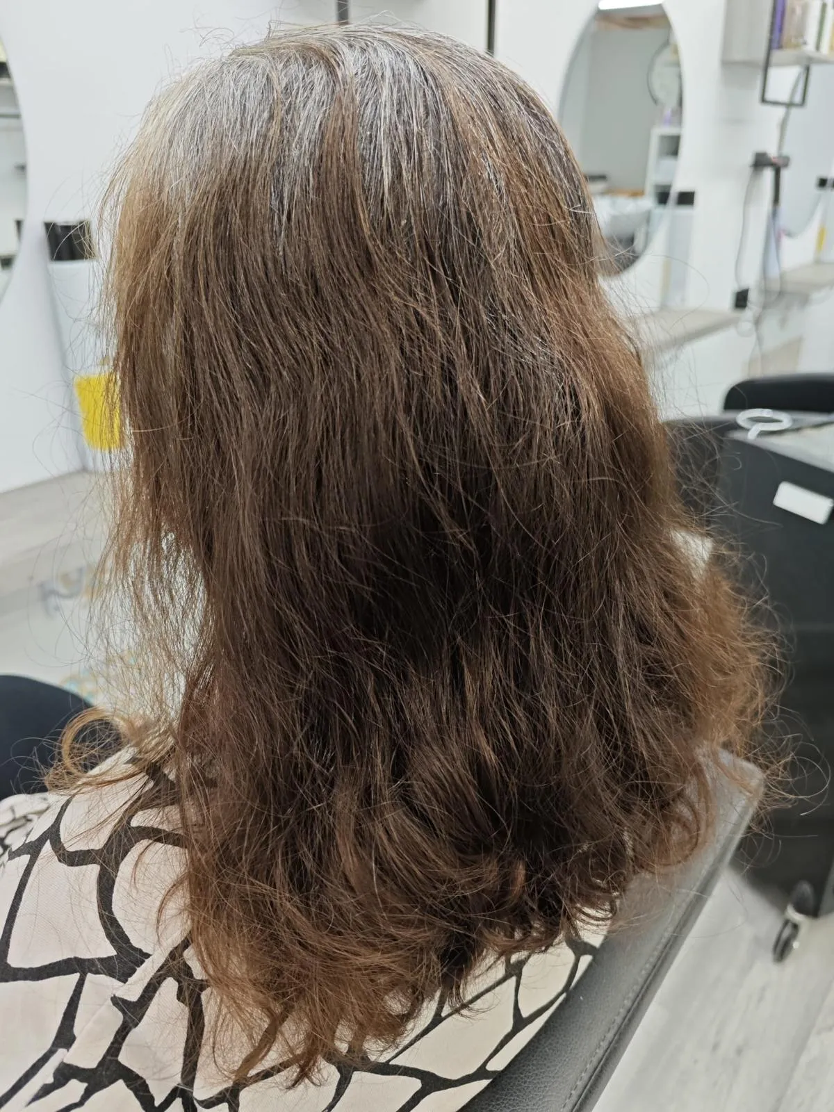 Antes: melena castaña encrespada, con canas en la raíz y puntas abiertas